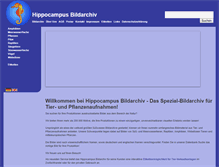 Tablet Screenshot of hippocampus-bildarchiv.de